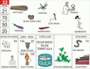 NOMOR EREK EREK 22 DI BUKU MIMPI 2D TERLENGKAP