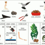 Erek Erek 40 adalah salah satu nomor yang sering dicari dalam Buku Mimpi 2D Bergambar karena memiliki berbagai macam tafsir dan simbol yang dapat digunakan untuk meramal atau bermain togel